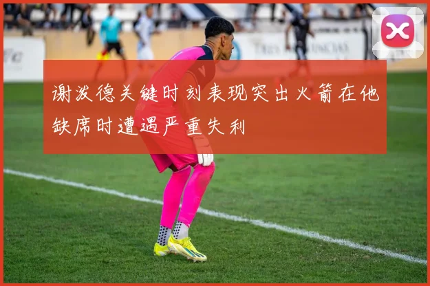 谢泼德关键时刻表现突出火箭在他缺席时遭遇严重失利