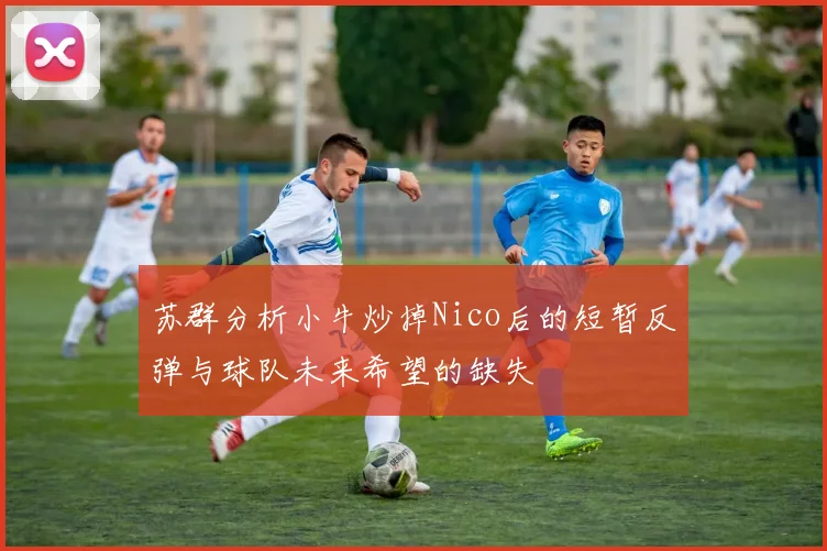 苏群分析小牛炒掉Nico后的短暂反弹与球队未来希望的缺失