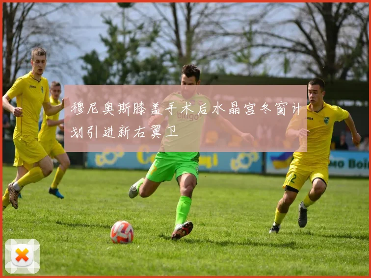 穆尼奥斯膝盖手术后水晶宫冬窗计划引进新右翼卫